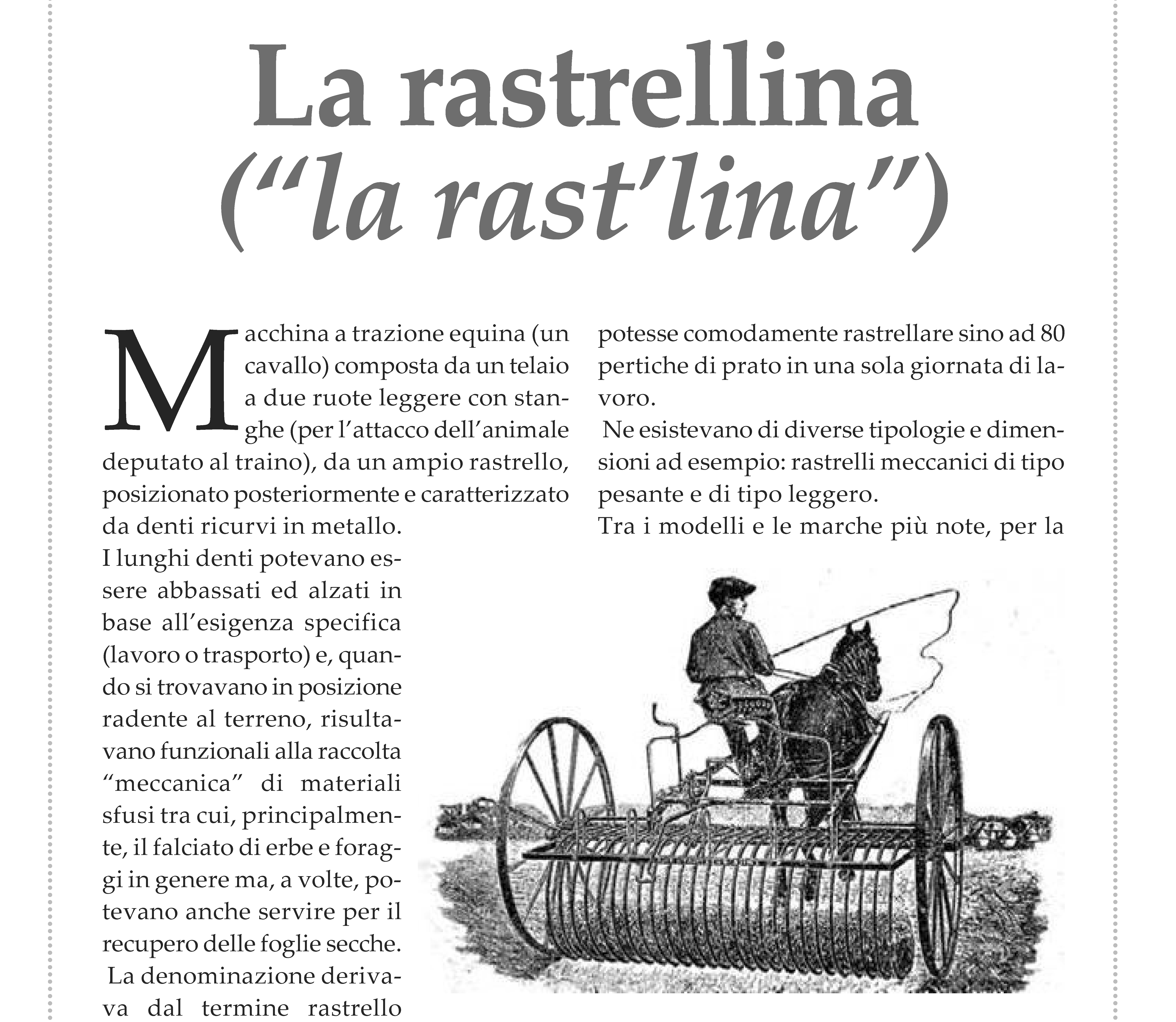 Attivata la sezione "Patrimonio"